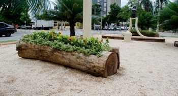 Goiânia recebe novas floreiras